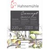 Hahnemühle skicár CONCEPT SKETCH & DRAW 220 gsm 20 listov A4