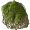Europet Bernina Aqua Della Moss Stone XS 9x6x6,5 cm