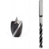 IGM Professional IGM Twist Vrták do dreva HSS - D13x100 L175 S=13 ETVD13