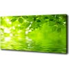 Moderný obraz canvas na ráme Zelené lístie 100x50 cm