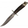 MUELA 160mm blade, stag deer handle, brass guard and Buffalo head cap BUFFALO-16BF