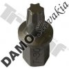 TRIUMF Bity XZN a TORX T 30