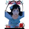 Bleach Volume 65 - Tite Kubo