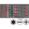 TRIUMF Modul micro skrutkovačov Beargrip PL+PH+Torx, 13 dielny