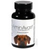 AminAvast® 1000 mg 60 cps. pes