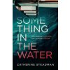 Something in the Water : The Gripping Reese Witherspoon Book Club Pick! - Steadmanová Catherine