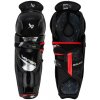 Holene BAUER Vapor Fly40 SR - 16