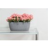 Nohel garden Truhlík JERSEY plastový sivý 38cm
