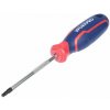 Torx skrutkovač WORKPRO T25 x 101 mm - WP221165