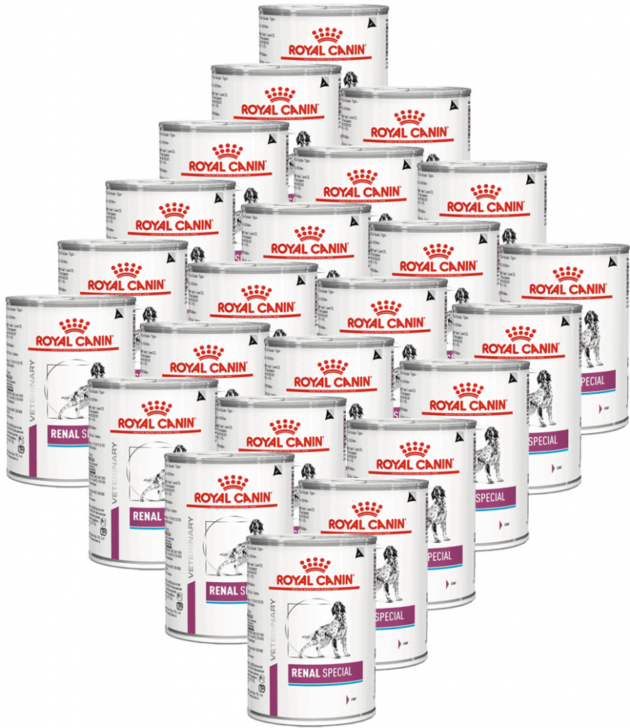 Royal Canin VHN Renal Special 24 x 410 g