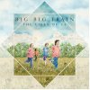 Big Big Train: Likes of Us - CD