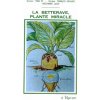 LA BETTERAVE, PLANTE MIRACLE Histoire - Tradition - Botanique - Biologie - Sucrochimie