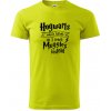Harry - Hogwarts wasn’t hiring, so I teach Muggles instead - Klasické pánske tričko vyššej gramáže - 2XL ( Limetková )