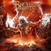 Brothers Of Metal - Brothers Of Metal - Prophecy Of RagnarĂ¶k (11 LP)