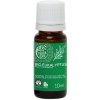 TIERRA VERDE BIO Eukalyptus 10 ml