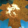 Soyuz, SOYUZ - FORCE OF THE WIND CD, CD