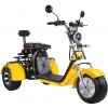 CityCoco CP-3.0 2000W 40Ah žltá
