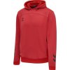 Hummel LEAD POLY HOODIE KIDS 207410-3062