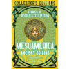 Mesoamerica Ancient Origins (Pevná)