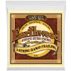 Ernie Ball 2061 Earthwood Struny pre banjo