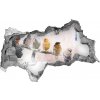 Diera 3D fototapeta nálepka Vtáky na vetve 95x73 cm
