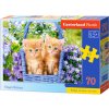 Puzzle Premium 70 dielikov - Ryšavé mačiatka