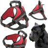 TRUELOVE Postroj pre psa Outdoor
