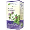 MEGAFYT Bylinková lekáreň PESTREC MARIÁNSKY bylinný čaj 20x2,5 g (50 g)