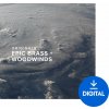 Spitfire Audio Originals Epic Brass and Woodwinds (Digitálny produkt)