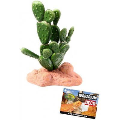 Reptile Nova Kaktus stredný 15 cm