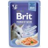 Brit Premium by Nature Cat Delicate Fillets in Jelly with Salmon 85 g