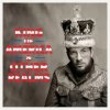 Costello Elvis - King Of America [CD]