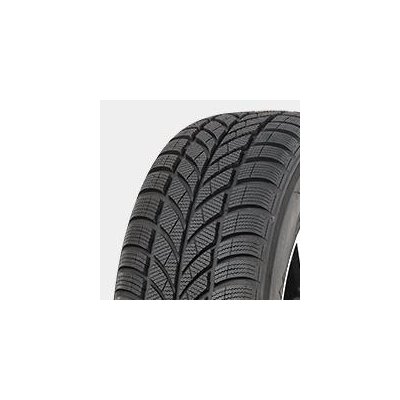 Maxxis WP-05 ARTIC TREKKER 205/50 R17 93V