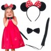 Myška Minnie 2 druhy Čelenka UNI