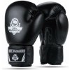 BUSHIDO Boxerské rukavice DBX ARB-Black - 14oz.