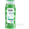 Dixi šampón brezovy 400 ml