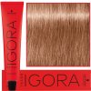 Schwarzkopf Professional Igora Royal Color 9-67 extra svetlá blond čokoládová medená béžová 60 ml