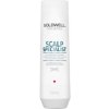Goldwell Ošetrujúci šampón proti lupinám Dualsenses Scalp Specialist (Anti-Dandruff Shampoo) 250 ml