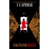 Zaklínanie svetla - Victoria Schwab