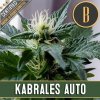 Blimburn Seeds Cannabis Seeds Kabrales Auto 9 ks