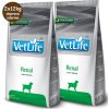 Farmina Vet Life Dog Renal 2x12kg