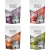 Wolf of Wilderness Snack - Wild Bites Mix - 4dielný mix: Kuracie, kačacie, jahňacie, hovädzie (720 g)