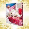 Trixie Adventný kalendár pro psy 380 g