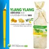 HOXI Ušné sviece s Ylang Ylang 10 ks