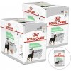 Royal Canin Digestive Care Dog Loaf 24 x 85 g