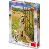 Dino GUMP SME DVOJKA 300 XL puzzle 47x33