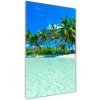 Vertikálny foto obraz sklenený Tropická pláž 50x100 cm