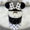Mickey Mouse flower box