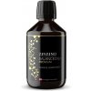 Zinzino BalanceOil+ Premium 300 ml