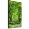 Vertikálny foto obraz na plátne do obývačky Zelený les 50x100 cm